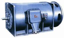 YB560-800系列高压隔爆型三相异步电动机